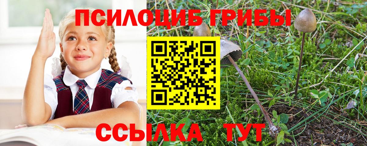 Снежинск  Галлюциногенные грибы Magic Shrooms  Вход с VPN 