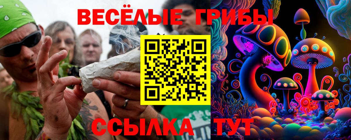 Галлюциногенные грибы GOLDEN TEACHER Снежинск